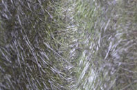 Lask Edge fibreglass roof work