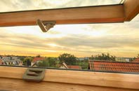 rated Lask Edge roof window companies